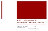 PAL: Diabetes & Diabetic Ketoacidosis David Zorko MD Candidate 2016 University of Ottawa.