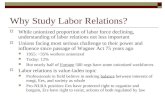 Why Study Labor Relations?  While unionized proportion of labor force declining, understanding of labor relations not less important  Unions facing most.