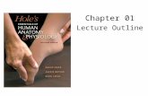 Chapter 01 Lecture Outline. INTRODUCTION TO HUMAN ANATOMY AND PHYSIOLOGY CHAPTER 1.