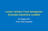 Lower Urinary Tract Symptoms (includes ketamine cystitis) Dr Peggy CHU Tuen Mun Hospital.