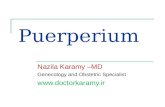 Puerperium Nazila Karamy –MD Genecology and Obstetric Specialist .