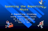 Spanning the Reporting Abyss A Reporting Strategy using functional tables in a data warehouse UM Reporting Task Force March 13, 2003.