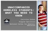 Christina Endres Program Specialist National Center for Homeless Education U NACCOMPANIED H OMELESS S TUDENTS : W HAT Y OU N EED TO K NOW.