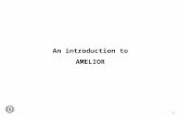 1 An introduction to AMELIOR. 2 Amelior - Facts Independent organisation 36 staff-members 930 members (companies) Over 6000 participants per year in our.