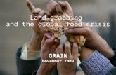 GRAIN | November 2009 Land grabbing and the global food crisis GRAIN November 2009.