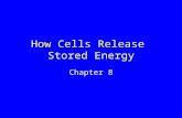 How Cells Release Stored Energy Chapter 8. 8.1 Main Types of Energy-Releasing Pathways Aerobic pathways Evolved later Require oxygen Start with glycolysis.