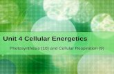 Unit 4 Cellular Energetics Photosynthesis (10) and Cellular Respiration (9)