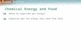 Lesson Overview Lesson Overview Cellular Respiration: An Overview Chemical Energy and Food Where do organisms get energy? Organisms get the energy they.