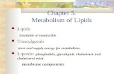 Chapter 5. Metabolism of Lipids Lipids Insoluble or immiscible Triacylgerols store and supply energy for metabolism. Lipoids: phospholids, glycolipids,