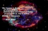 The Cosmos is divine, all share divinity. Divinity does not transcend reality it surrounds us, and is within. Divinity is immanent. - Robb Miller.