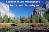 Compensation Management : Tools and Techniques Lee Kok Wai Lectures 4 and 5.