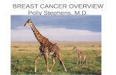 BREAST CANCER OVERVIEW Polly Stephens, M.D.. BREAST ANATOMY.