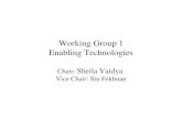 Working Group 1 Enabling Technologies Chair: Sheila Vaidya Vice Chair: Stu Feldman.