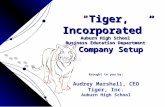 “Tiger, Incorporated” Auburn High School Business Education Department Brought to you by: Audrey Marshall, CEO Tiger, Inc. Auburn High School Company.
