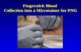 Fingerstick Blood Collection into a Microtainer for PNG.