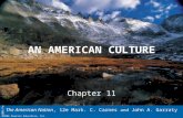 ©2006 Pearson Education, Inc. AN AMERICAN CULTURE Chapter 11 The American Nation, 12e Mark. C. Carnes and John A. Garraty ©2006 Pearson Education, Inc.
