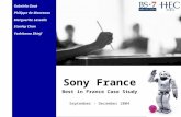 Sony France Best in France Case Study September - December 2004 Gabriela Gaut Philippe de Montenon Marguerite Lassalle Stanley Chan Yoshitomo Shinji.