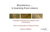 Biomimicry … is learning from nature Subtopic: learning from relations and interactions Club of Amsterdam 23 februari 2012 Bowine Wijffels.