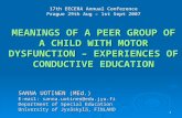 1 17th EECERA Annual Conference Prague 29th Aug – 1st Sept 2007 MEANINGS OF A PEER GROUP OF A CHILD WITH MOTOR DYSFUNCTION – EXPERIENCES OF CONDUCTIVE.