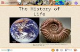 The History of Life © NASA .