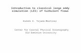 Introduction to classical large eddy simulation (LES) of turbulent flows Andrés E. Tejada-Martínez Center for Coastal Physical Oceanography Old Dominion.