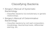 Classifying Bacteria Bergey’s Manual of Systematic Bacteriology –Classifies bacteria via evolutionary or genetic relationships. Bergey’s Manual of Determinative.
