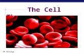 AP Biology The Cell Theory AP Biology Some Random Cell Facts  The average human being is composed of around 100 Trillion individual cells!!!  It would.