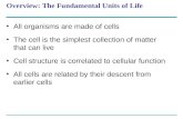 Overview: The Fundamental Units of Life All organisms are made of cells The cell is the simplest collection of matter that can live Cell structure is correlated.
