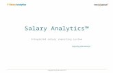 Salary Analytics™ Integrated salary reporting system raporty-placowe.pl Copyright by ProXmedia 2011.