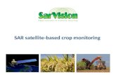 SAR satellite-based crop monitoring. 1. SAR crop monitoring.