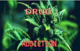 Definition: Drug addiction involves compulsively seeking to use a substance, regardless of the potentially negative social, psychological and physical.