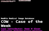 MedPix Medical Image Database COW - Case of the Week Case Contributor: Dawn M Sloan Affiliation: Uniformed Services University.