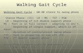 Walking Gait Cycle Walking Gait Cycle - 60:40 stance to swing phase Walking Gait Cycle - 60:40 stance to swing phase Stance Phase: (IC) LR – MS – TST –