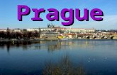 Prague. Basic information: · area: 496km 2 · Inhabitans: 1, 178 000 · Density: 2,376obyvatel/km 2 · County seat: Prague.