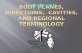 An Introduction to.  Anatomic reference systems describe the location and functions of body parts. The basic reference systems are:  body planes  body.