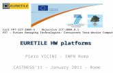 EURETILE HW platforms Piero VICINI - INFN Roma CASTNESS’11 - January 2011 - Rome Call FP7-ICT-2009-4 Objective ICT-2009.8.1 FET – Future Emerging Technologies:
