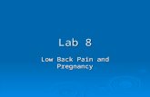 Lab 8 Low Back Pain and Pregnancy. Presented by:  Katie Farrell  Kimberly Harper  Carly Lepp  Meggan McCleod.