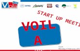 Turin Monday 4 February 2013. VOILA: the acronym & the idea.