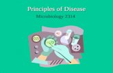 Principles of Disease Microbiology 2314. Every disease is a race between a pathogen trying to gain a foothold and the host defenses trying to prevent.