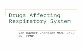 Drugs Affecting Respiratory System Jan Bazner-Chandler MSN, CNS, RN, CPNP.
