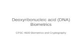 Deoxyribonucleic acid (DNA) Biometrics CPSC 4600 Biometrics and Cryptography.