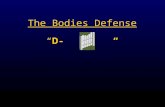 The Bodies Defense “D- “ The Bodies Defense “ D - “ Lymphatic system System of canals and filters that purify the blood. Old RBCs and Bacterial cells.