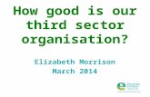 How good is our third sector organisation? Elizabeth Morrison March 2014.