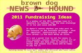 NEWS HOUND brown dog Brown Dog is a Registered Charity (1111550) Raising money to help men, women and children who have cancer .