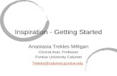 Inspiration - Getting Started Anastasia Trekles Milligan Clinical Asst. Professor Purdue University Calumet Trekles@calumet.purdue.edu.