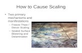 How to Cause Scaling Two primary mechanisms and manifestations –Freeze-Thaw / Deicer Scaling –Sealed Surface Blistering and Delamination.