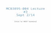 MCB3895-004 Lecture #3 Sept 2/14 Intro to UNIX terminal.