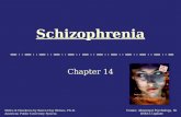 Schizophrenia Chapter 14 Comer, Abnormal Psychology, 8e DSM-5 Update Slides & Handouts by Karen Clay Rhines, Ph.D. American Public University System.