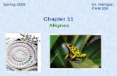 111 Spring 2009Dr. Halligan CHM 236 Alkynes Chapter 11.