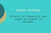 Higher Biology Effects of Chemicals and Light on Growth in Animals.